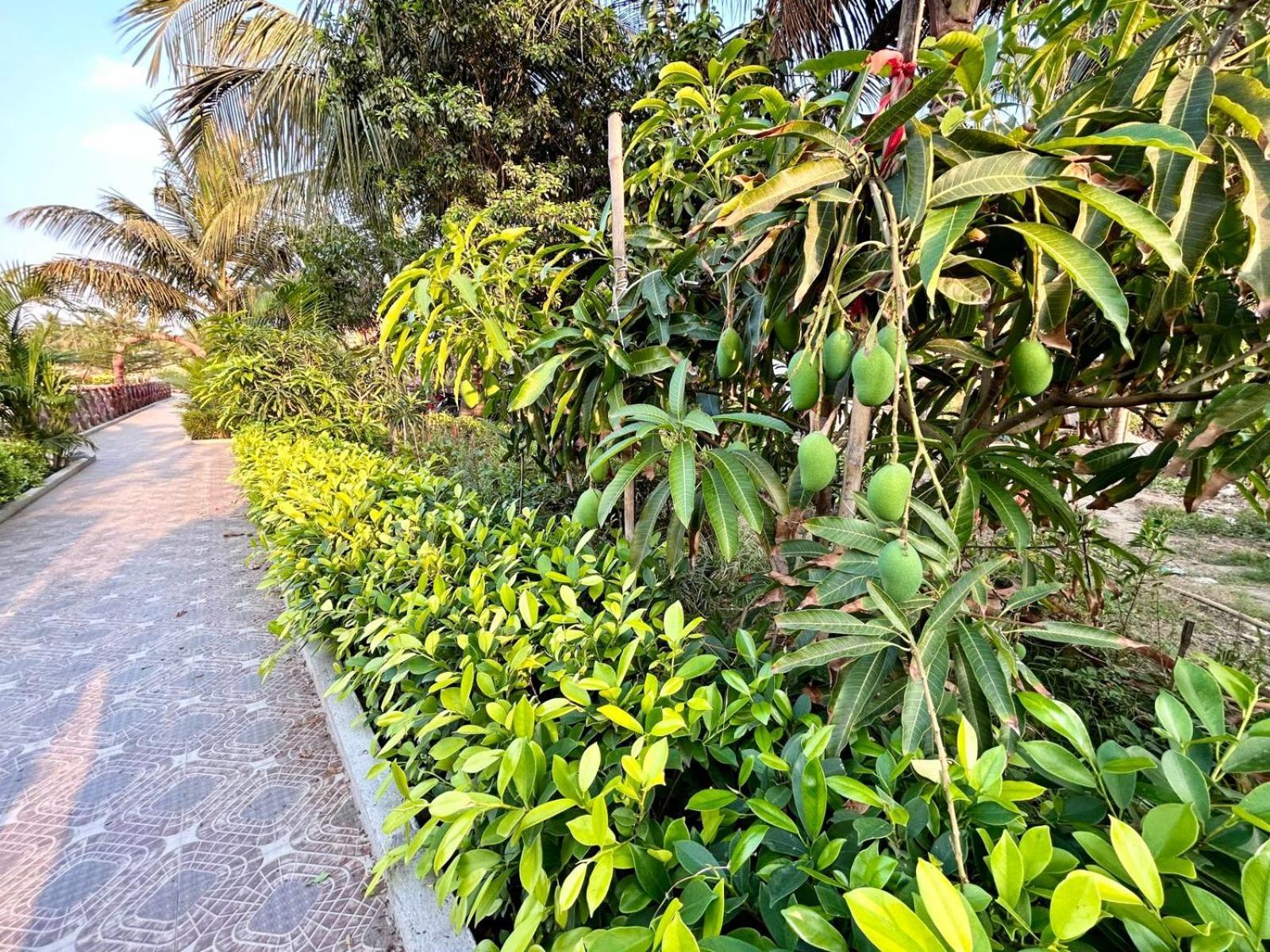 Palli Bangla Resort, Near Ruby Hospital, Anandapur Calcutta Extérieur photo